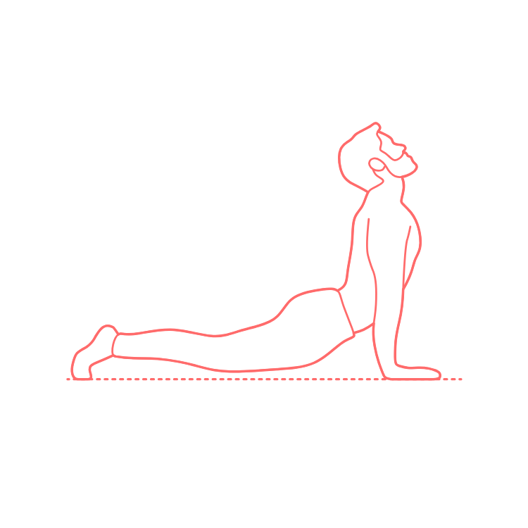 Humans Yoga Poses Upward Facing Dog Pose Svg Line Art Free Vectors